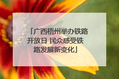 广西梧州举办铁路开放日 民众感受铁路发展新变化