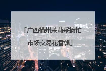 广西横州茉莉采摘忙 市场交易花香飘