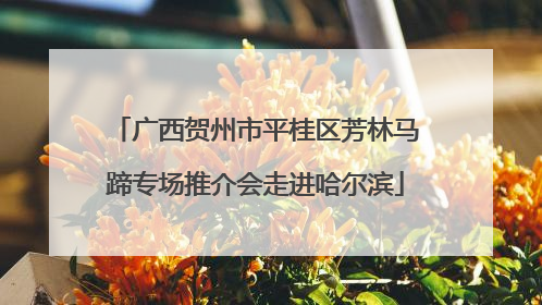 广西贺州市平桂区芳林马蹄专场推介会走进哈尔滨