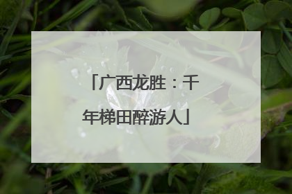 广西龙胜：千年梯田醉游人