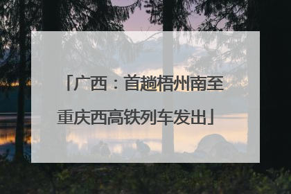 广西：首趟梧州南至重庆西高铁列车发出