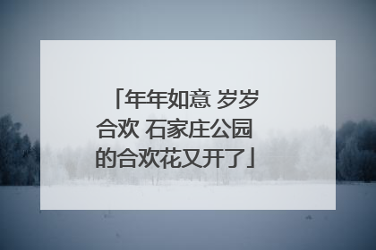 年年如意 岁岁合欢 石家庄公园的合欢花又开了