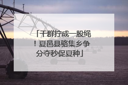 干群拧成一股绳！夏邑县骆集乡争分夺秒促夏种