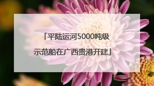 平陆运河5000吨级示范船在广西贵港开建