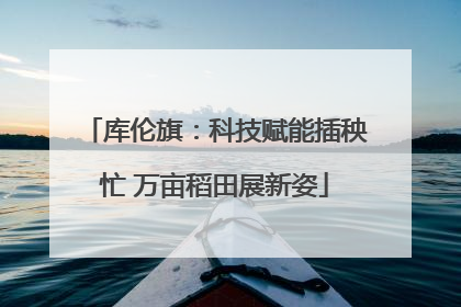 库伦旗：科技赋能插秧忙 万亩稻田展新姿