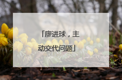 廖进球，主动交代问题