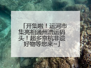 开集啦！运河市集亮相通州漕运码头！超多京杭非遗好物等您来~