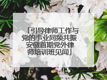 引导律师工作与党的事业同频共振 安徽首期党外律师培训班见闻