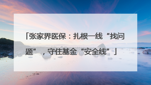 张家界医保：扎根一线“找问题”，守住基金“安全线”
