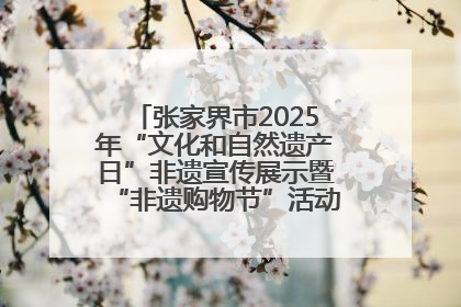 张家界市2025年“文化和自然遗产日”非遗宣传展示暨“非遗购物节”活动在慈利县盛大启幕