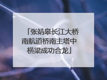 张靖皋长江大桥南航道桥南主塔中横梁成功合龙