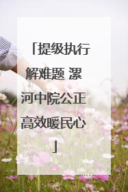 提级执行解难题 漯河中院公正高效暖民心