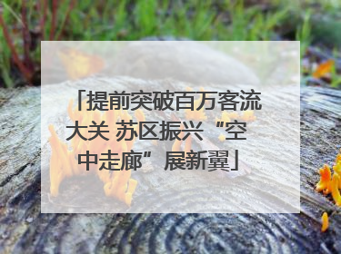 提前突破百万客流大关 苏区振兴“空中走廊”展新翼