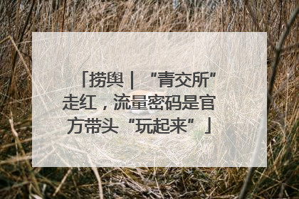 捞舆｜“青交所”走红，流量密码是官方带头“玩起来”
