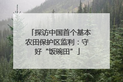 探访中国首个基本农田保护区监利：守好“饭碗田”