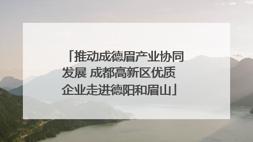 推动成德眉产业协同发展 成都高新区优质企业走进德阳和眉山
