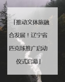 推动文体旅融合发展！辽宁省匹克球推广启动仪式启幕