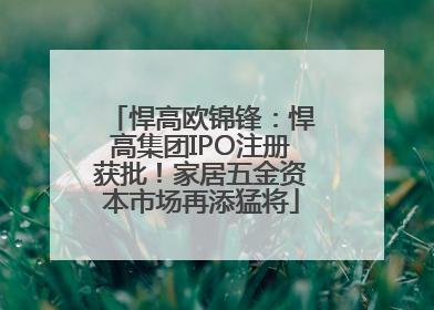 悍高欧锦锋：悍高集团IPO注册获批！家居五金资本市场再添猛将