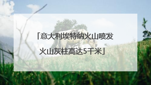 意大利埃特纳火山喷发 火山灰柱高达5千米