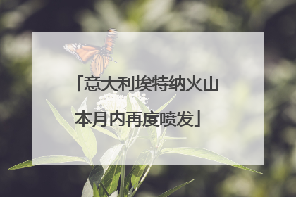 意大利埃特纳火山本月内再度喷发