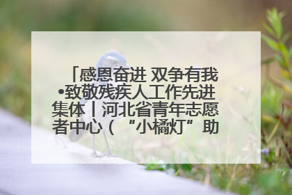 感恩奋进 双争有我•致敬残疾人工作先进集体丨河北省青年志愿者中心（“小橘灯”助残接力计划实施团队）：用温暖陪伴，守护特殊孩子成长