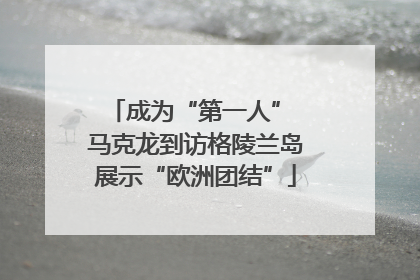 成为“第一人” 马克龙到访格陵兰岛展示“欧洲团结”