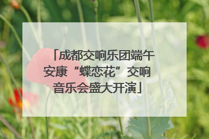 成都交响乐团端午安康“蝶恋花”交响音乐会盛大开演