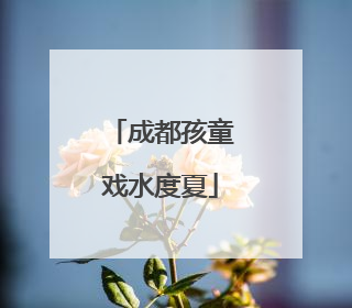 成都孩童戏水度夏