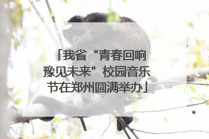 我省“青春回响 豫见未来”校园音乐节在郑州圆满举办