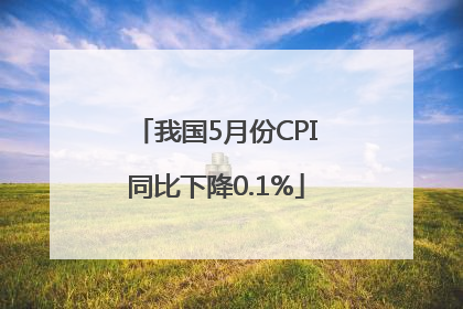 我国5月份CPI同比下降0.1%