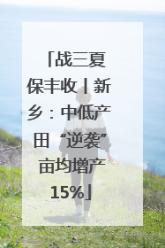 战三夏 保丰收丨新乡：中低产田“逆袭” 亩均增产15%