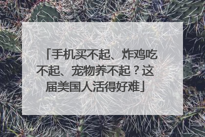手机买不起、炸鸡吃不起、宠物养不起？这届美国人活得好难