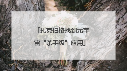 扎克伯格找到元宇宙“杀手级”应用