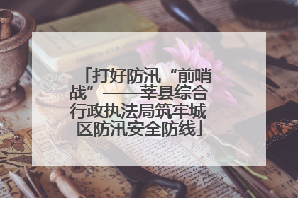 打好防汛“前哨战”——莘县综合行政执法局筑牢城区防汛安全防线