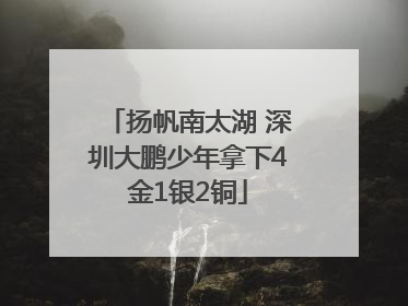 扬帆南太湖 深圳大鹏少年拿下4金1银2铜
