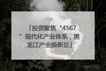 投资聚焦“4567”现代化产业体系，黑龙江产业换新景