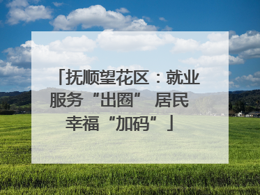 抚顺望花区：就业服务“出圈” 居民幸福“加码”
