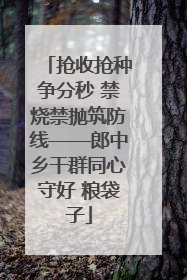 抢收抢种争分秒 禁烧禁抛筑防线——郎中乡干群同心守好 粮袋子