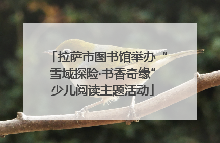 拉萨市图书馆举办“雪域探险·书香奇缘”少儿阅读主题活动