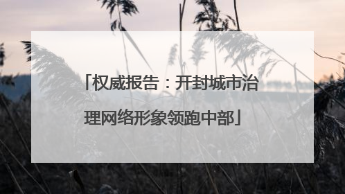 权威报告：开封城市治理网络形象领跑中部