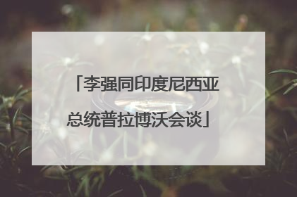 李强同印度尼西亚总统普拉博沃会谈