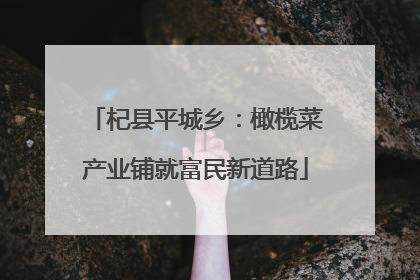 杞县平城乡：橄榄菜产业铺就富民新道路
