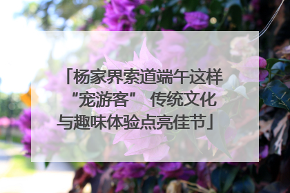 杨家界索道端午这样“宠游客” 传统文化与趣味体验点亮佳节