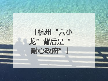 杭州“六小龙”背后是“耐心政府”