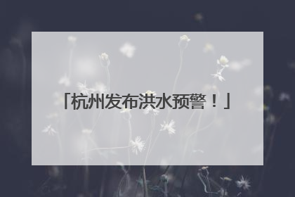 杭州发布洪水预警！