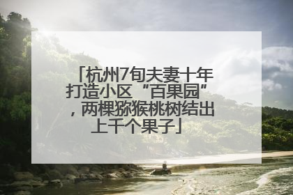 杭州7旬夫妻十年打造小区“百果园”，两棵猕猴桃树结出上千个果子