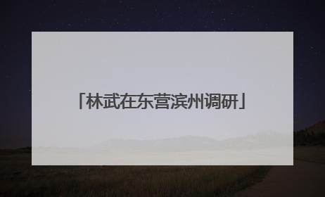 林武在东营滨州调研
