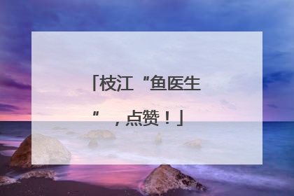 枝江“鱼医生”，点赞！