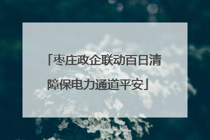 枣庄政企联动百日清障保电力通道平安