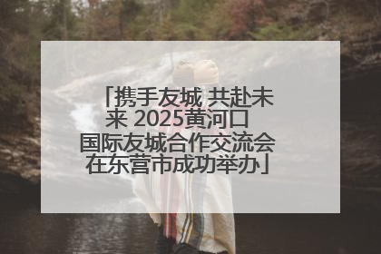 携手友城 共赴未来 2025黄河口国际友城合作交流会在东营市成功举办
